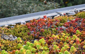 the cost of Southrope green roof installation