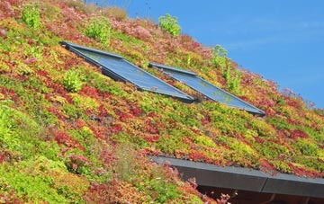 Southrope living roof systems